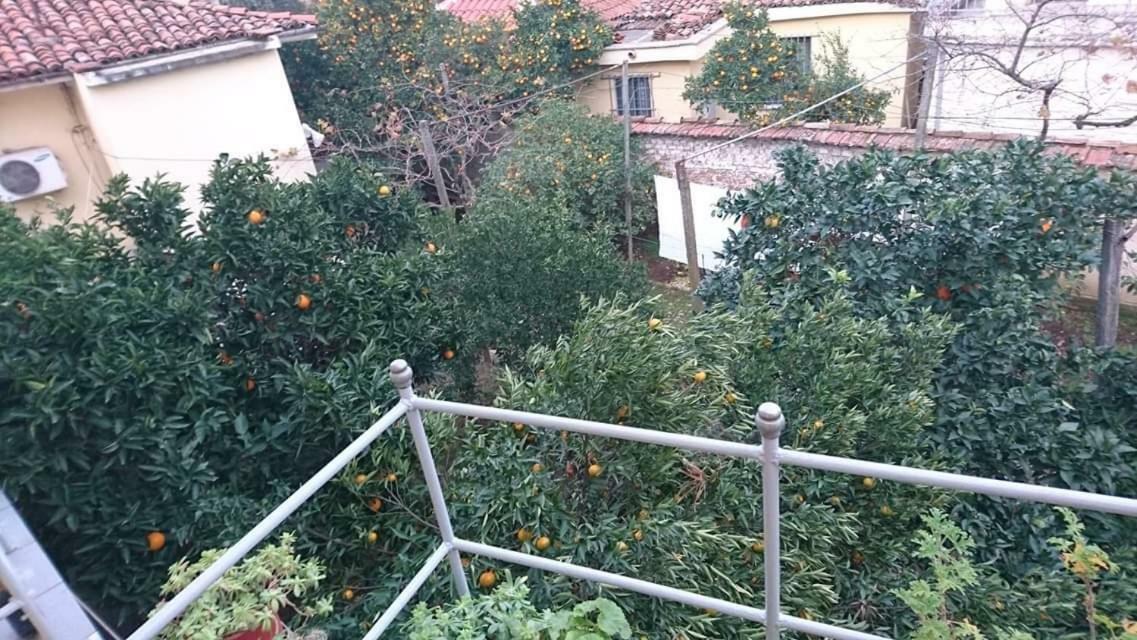 Orange Villa Hotel Tirana Exteriör bild